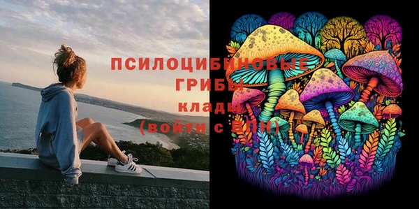 прущая мука Аркадак